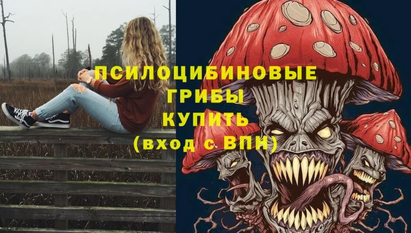 стафф Алексеевка
