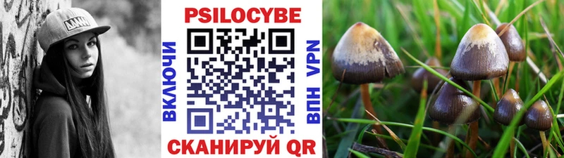 Псилоцибиновые грибы Cubensis ссылка на мегу рабочий сайт Далматово закладки