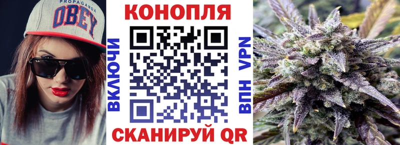 blacksprut ONION Далматово Бошки марихуана план